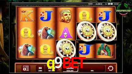 A Experiência Imersiva dos Cassinos Ao Vivo no q9bet